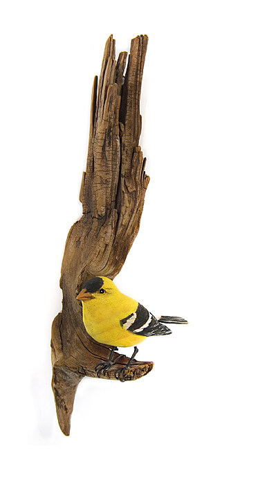 American Goldfinch 01