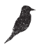 Bird Icon